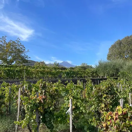 Luxury Historic Near Catania, Taormina, The Sea And Mount Etna By Sicilian Relaxing Homes * ג'יארה